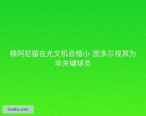 穆阿尼留在尤文机会缩小 图多尔视其为非关键球员