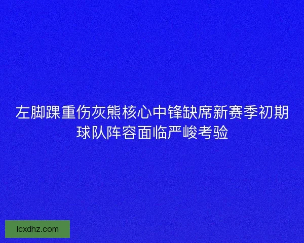 左脚踝重伤灰熊核心中锋缺席新赛季初期球队阵容面临严峻考验